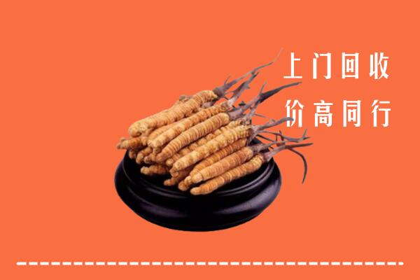 高价求购：阳江阳春回收散虫草