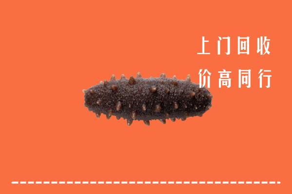 高价求购：阳江阳春回收海参