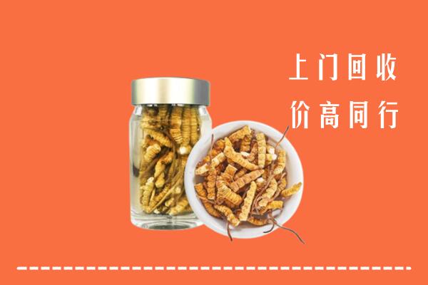 阳江阳春回收冬虫夏草